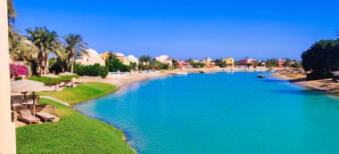 Göl kenarında güneşli bir gün, göl manzaralı renkli çiçeklerle yaz ortası.