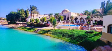 Göl kenarında güneşli bir gün, göl manzaralı renkli çiçeklerle yaz ortası.