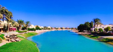 Göl kenarında güneşli bir gün, göl manzaralı renkli çiçeklerle yaz ortası.