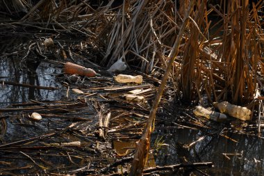 Nehir kenarı kirliliği. Plastik şişelerle kirlenmiş nehir, ev atıkları. Çevresel kriz. Eko problemi, ekolojik bozulma, insanların doğaya olan ilgisizliği, çöpler suda yüzer, gezegeni kurtarır.