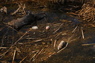 Nehir kenarı kirliliği. Plastik şişelerle kirlenmiş nehir, ev atıkları. Çevresel kriz. Eko problemi, ekolojik bozulma, insanların doğaya olan ilgisizliği, çöpler suda yüzer, gezegeni kurtarır.
