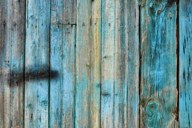 Yıpranmış eski tahta panel, eski, harap olmuş çatlak yüzey kirli desenli, pul pul solmuş mavi boya. Yontulmuş ve soyulmuş eski bir tahta. Çürüme, erozyon aşınmış tahta ya da döşeme tahtası