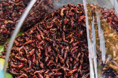 Chapulines enchilados Meksika 'dan geleneksel bir tabak, acılı çekirgelerden yapılır.
