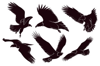 Hand drawn silhouette of eagle clipart