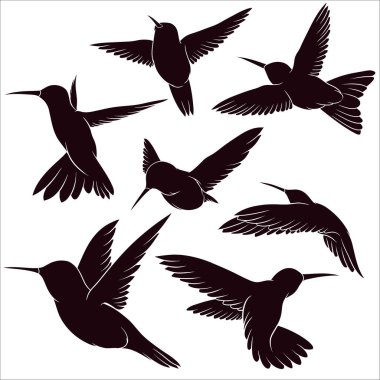 El çizimi sinekkuşu silueti