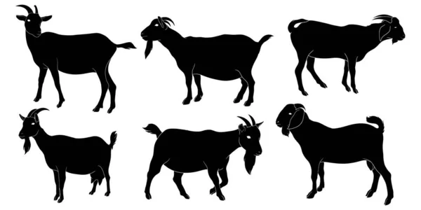 Hand Drawn Silhouette Goat — Stock Vector