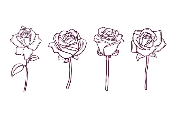 Набор Ручной Работы Розовые Цветы — стоковый вектор