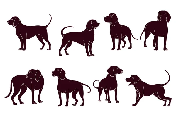 Mano Dibuja Silueta Perros Beagle Ilustración Vectorial — Archivo Imágenes Vectoriales