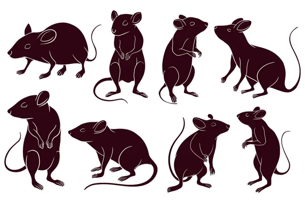 Ręka Rysuje Sylwetkę Szczurów Ilustracja Wektora — Wektor stockowy