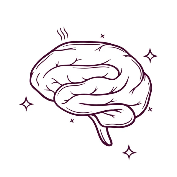 Cervello Umano Icona Disegnata Mano Illustrazione Vettoriale Disegnata Mano — Vettoriale Stock