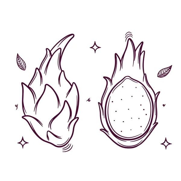 Dragonfruit Icono Dibujado Mano Ilustración Vectorial Dibujado Mano — Archivo Imágenes Vectoriales
