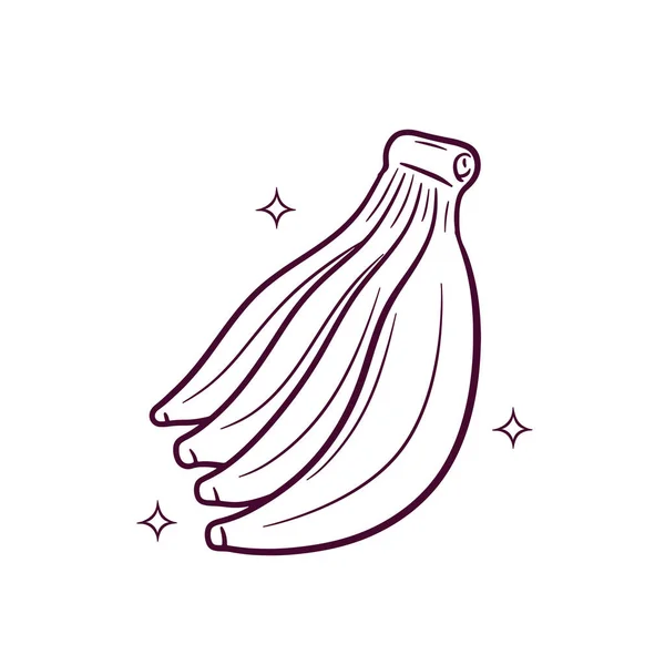 Banana Desenhada Mão Doodle Vector Sketch Ilustração — Vetor de Stock