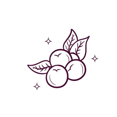 El yapımı yaban mersini. Doodle Vektör Çizim Çizimi