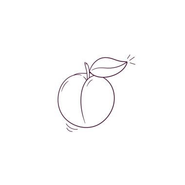 Kayısı ikonunun el çizimi çizimi. Doodle Vektör Çizim Çizimi