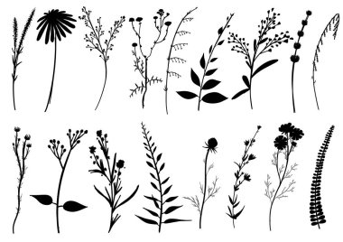 Büyük set siluetleri botanik çiçekli çiçek elementleri. Dallar, yapraklar, bitkiler, yabani bitkiler, çiçekler. Bahçe, çayır, ağaç yaprağı, yeşillik. Vektör illüstrasyonu beyaz arkaplanda izole edildi