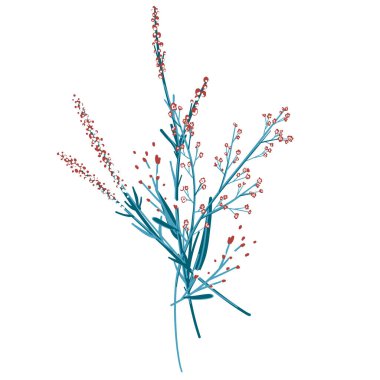 Field Flowers on Branch. Wildflower Icon. Hand Drawn Meadow Plant Isolated on Transparent Background. Vector illustration