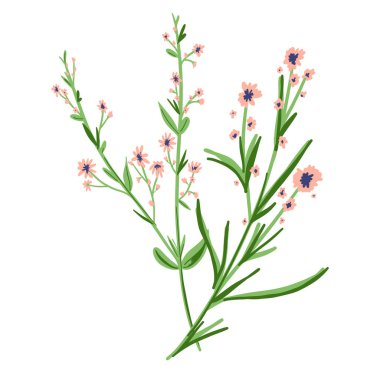 Field Flowers on Branch. Wildflower Icon. Hand Drawn Meadow Plant Isolated on Transparent Background. Vector illustration