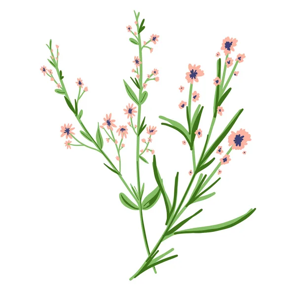 Field Flowers Branch Wildbloem Ikoon Handgetekende Weideplant Geïsoleerd Transparante Achtergrond — Stockvector