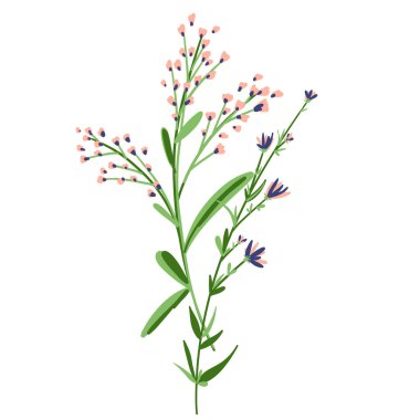 Field Flowers on Branch. Wildflower Icon. Hand Drawn Meadow Plant Isolated on Transparent Background. Vector illustration