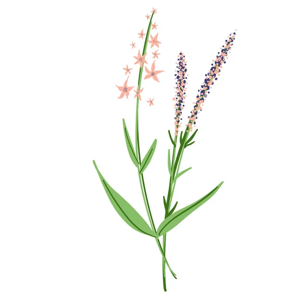 Field Flowers Branch Wildflower Icon Hand Drawn Meadow Plant Isolated — Stockový vektor