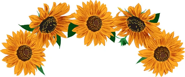 Rahmen Aus Sonnenblumen Und Blättern Helle Bunte Künstlerische Grenze Mit — Stockvektor