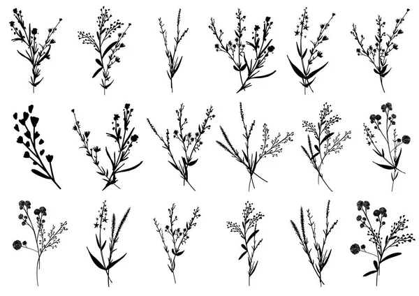 Великий Набір Силуетів Ботанічних Квіткових Елементів Гілки Листя Трави Дикі — стоковий вектор