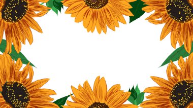 Ayçiçeği ve Yaprak Çerçevesi. Çiçeklerle Parlak Renkli Sanatsal Sınır. El Çizimi Çiçek İllüstrasyonu. Farklı sosyal medya tasarımı için bir unsur. Vektör Resimleri Beyazda İzole Edildi. 