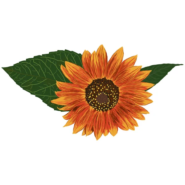 Квітка Соняшнику Листям Яскравий Барвистий Художній Малюнок Квіткова Ілюстрація Ручний — стоковий вектор