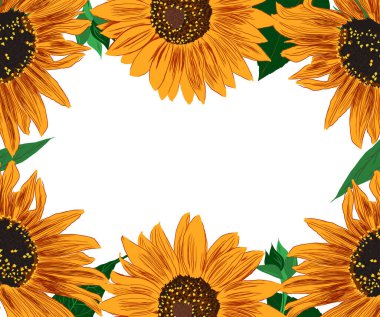 Ayçiçeği ve Yaprak Çerçevesi. Çiçeklerle Parlak Renkli Sanatsal Sınır. El Çizimi Çiçek İllüstrasyonu. Farklı sosyal medya tasarımı için bir unsur. Vektör Resimleri Beyazda İzole Edildi. 