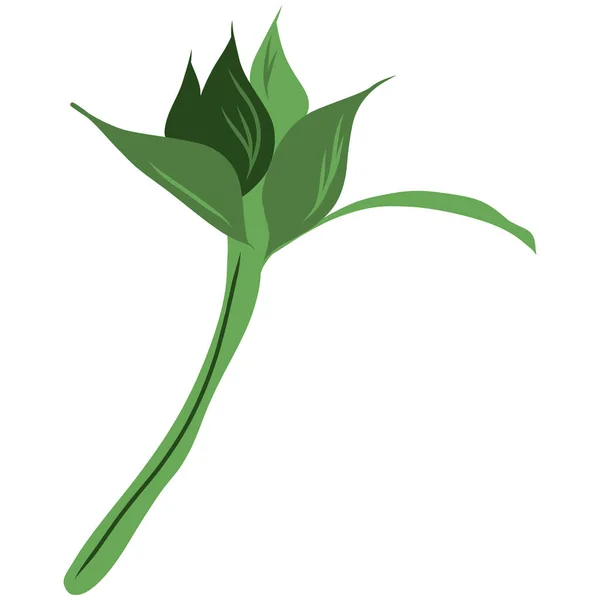 Ηλίανθος Μπαντ Φύλλα Φωτεινό Πολύχρωμο Καλλιτεχνικό Χέρι Σχέδιο Floral Εικονογράφηση — Διανυσματικό Αρχείο