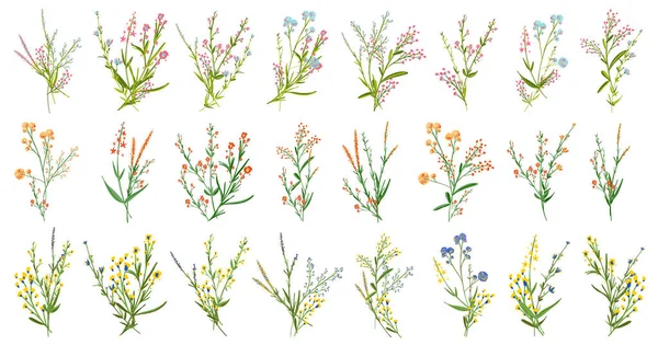 Big Set Elementos Florais Botânicos Pequenos Ramos Desenho Folhas Ervas —  Vetores de Stock