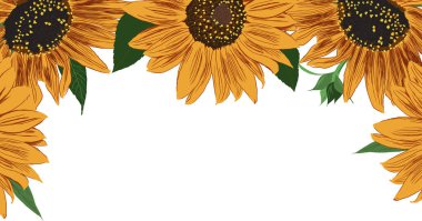 Ayçiçeği ve Yaprak Çerçevesi. Çiçeklerle Parlak Renkli Sanatsal Sınır. El Çizimi Çiçek İllüstrasyonu. Farklı sosyal medya tasarımı için bir unsur. Vektör Resimleri Beyazda İzole Edildi. 