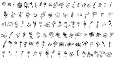 Çiçek koleksiyonu çizimi. Büyük set sanatsal fırça küçük çiçekler çizdi. Gül, papatya çayı, narsis, zambak ve diğer değişik vahşi, egzotik bitkiler. Alan, çayır, tropikal vektör çizimi.