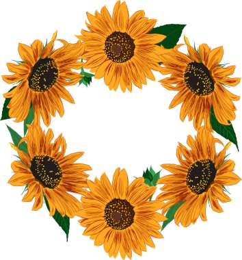 Ayçiçeği ve Yaprak Çerçevesi. Çiçeklerle Parlak Renkli Sanatsal Sınır. El Çizimi Çiçek İllüstrasyonu. Farklı sosyal medya tasarımı için bir unsur. Vektör Resimleri Beyazda İzole Edildi. 