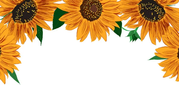 Rámeček Slunečnic Listů Jasné Barevné Umělecké Hranice Květinami Ruční Kreslení — Stockový vektor
