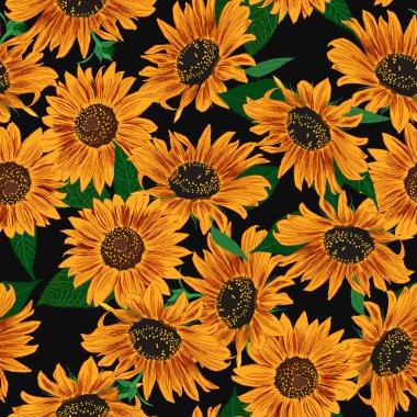 Ayçiçeği desensiz. Yapraklar ve Çiçekler Duvar Kağıdı. Parlak Renkli Resimli Çiçek Çizimi. El Rengi Bitkileri. Vektör İllüstrasyonu