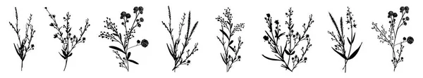 Grandes Silhouettes Florales Floraison Botanique Éléments Branches Feuilles Herbes Plantes — Image vectorielle