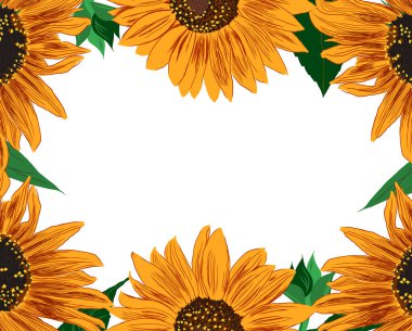 Ayçiçeği ve Yaprak Çerçevesi. Çiçeklerle Parlak Renkli Sanatsal Sınır. El Çizimi Çiçek İllüstrasyonu. Farklı sosyal medya tasarımı için bir unsur. Vektör Resimleri Beyazda İzole Edildi. 