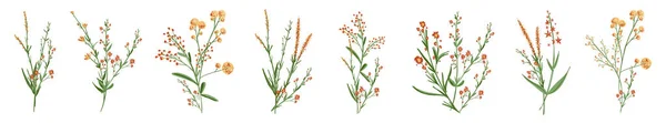 Velký Set Botanických Květinových Prvků Malé Kreslicí Větve Listy Byliny — Stockový vektor