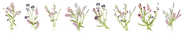 Большой Набор Ботанических Цветочных Элементов Мелкие Ветки Листья Травы Дикорастущие — стоковый вектор