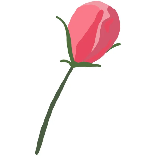 Rosa Blossom Blomma Bud Sakura Eller Cherry Bloom Tree Handritning — Stock vektor