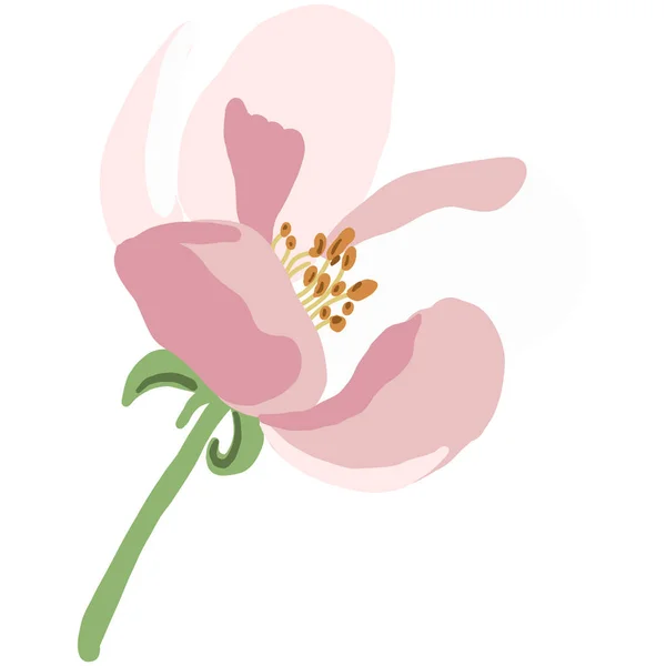 Rosafarbene Blütenknospe Sakura Oder Kirschblütenbaum Hand Zeichnen Schönheit Pflanze Cartoon — Stockvektor