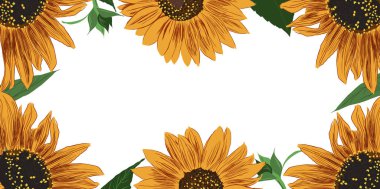 Ayçiçeği ve Yaprak Çerçevesi. Çiçeklerle Parlak Renkli Sanatsal Sınır. El Çizimi Çiçek İllüstrasyonu. Farklı sosyal medya tasarımı için bir unsur. Vektör Resimleri Beyazda İzole Edildi. 