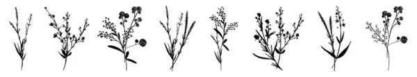 Grote Set Silhouetten Botanische Bloesem Bloemenelementen Takken Bladeren Kruiden Wilde — Stockvector