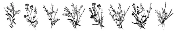 Velké Zasazené Siluety Botanických Květinových Květinových Prvků Větve Listy Byliny — Stockový vektor
