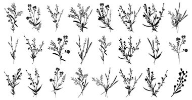 Büyük set siluetleri botanik çiçekli çiçek elementleri. Dallar, yapraklar, bitkiler, yabani bitkiler, çiçekler. Bahçe, çayır, ağaç yaprağı, yeşillik. Vektör illüstrasyonu beyaz arkaplanda izole edildi