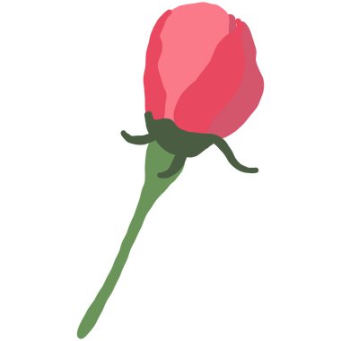 Pembe Çiçek Çiçeği Bud. Sakura veya Kiraz Çiçeği Ağacı. El çizimi fabrikası. Beyaz Arkaplanda Çizgi Film Vektörü İllüstrasyonu.