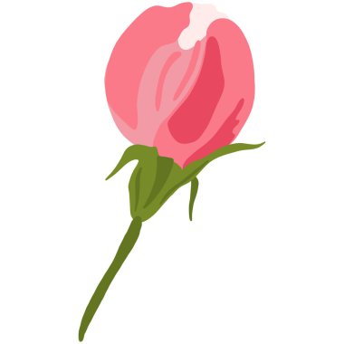 Pembe Çiçek Çiçeği Bud. Sakura veya Kiraz Çiçeği Ağacı. El çizimi fabrikası. Beyaz Arkaplanda Çizgi Film Vektörü İllüstrasyonu.