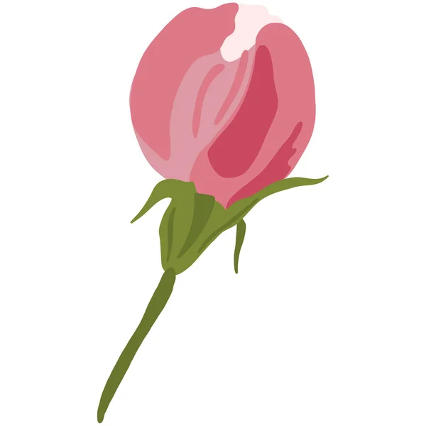 Рожевий Квітковий Бутон Сакура Або Вишневе Блум Дерево Ручний Креслення — стоковий вектор
