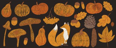 Sonbahar büyük tebeşir çizim seti. Kalem dokusu çocukça sonbahar unsurları koleksiyonu: meşe, akçaağaç yaprağı, mantar, meşe palamudu, rowan, balkabağı, tilki, çam kozalağı. Pastel boya desenli çocuklar izole edilmiş vektör çizimi